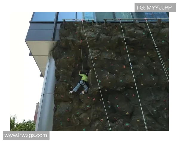 重庆攀岩队个人能力表现数据分析与提升策略探讨